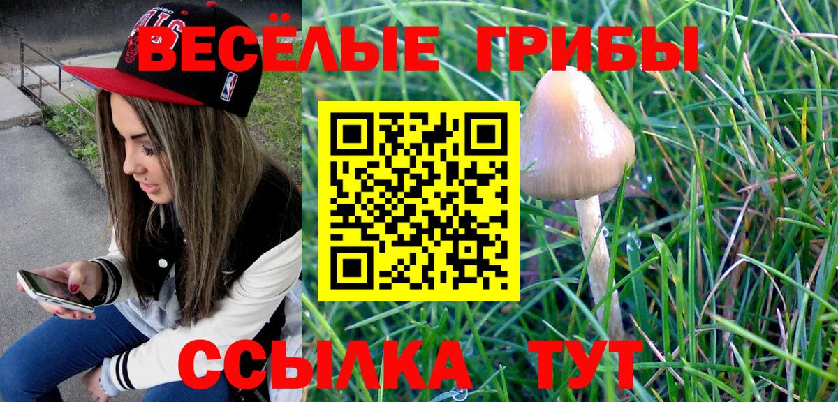 Галлюциногенные грибы MAGIC MUSHROOMS Ялта